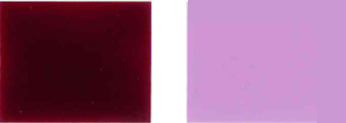 Pigmentu-bortitz-19-Color